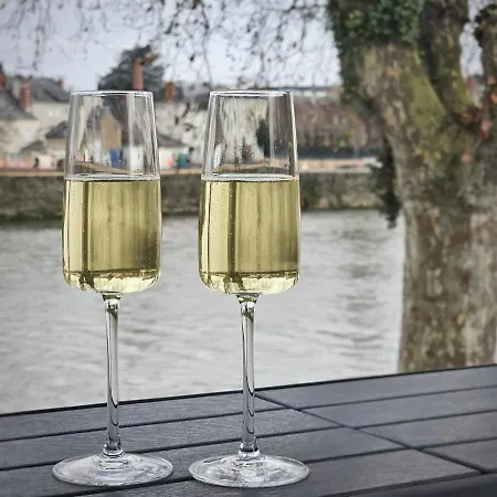 Quai 75 - 5 Etoiles - Vue Vienne Châtellerault