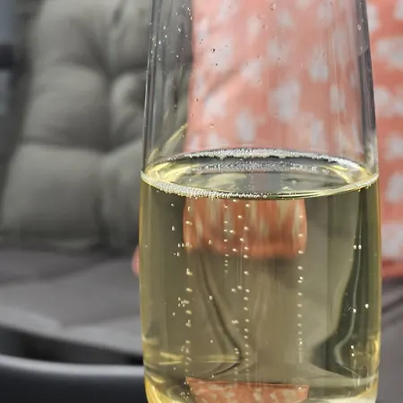 Quai 75 - 5 étoiles - Vue Vienne Appartement Châtellerault