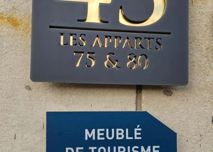 Quai 75 - 5 Etoiles - Vue Vienne Διαμέρισμα Châtellerault