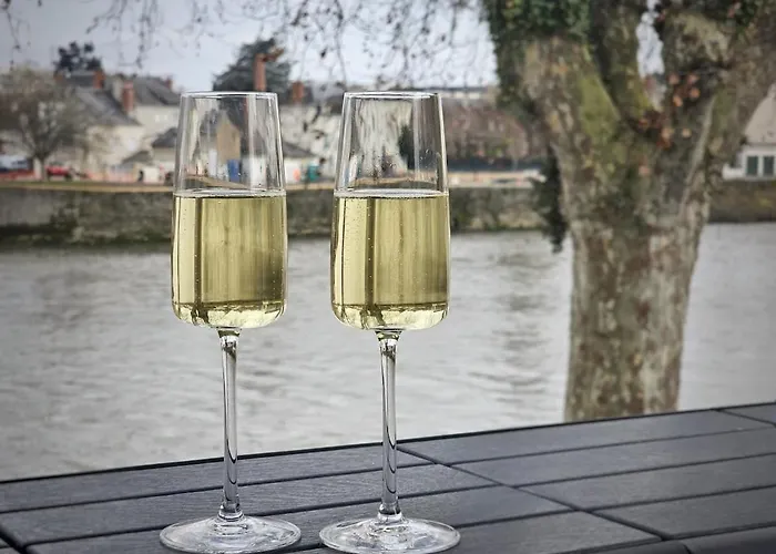 Quai 75 - 5 étoiles - Vue Vienne Châtellerault