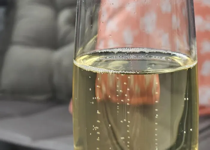 Quai 75 - 5 Etoiles - Vue Vienne Διαμέρισμα Châtellerault